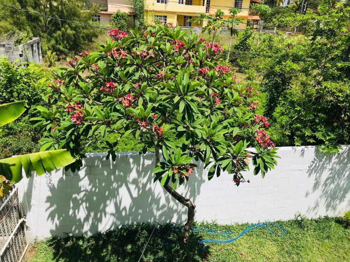 Breeze Du Nord Vila Grand Baie Exterior foto